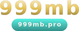 999MB